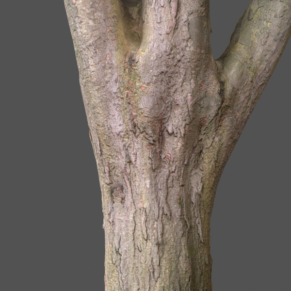 12 Tree collection Vol 2