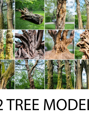 12 Tree collection Vol 2