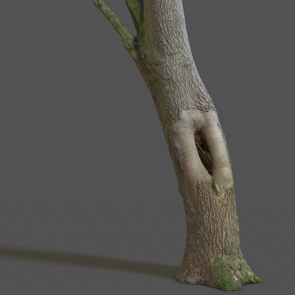 12 Tree collection Vol 2