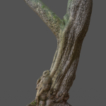 12 Tree collection Vol 2