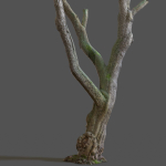 12 Tree collection Vol 2
