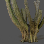 12 Tree collection Vol 2