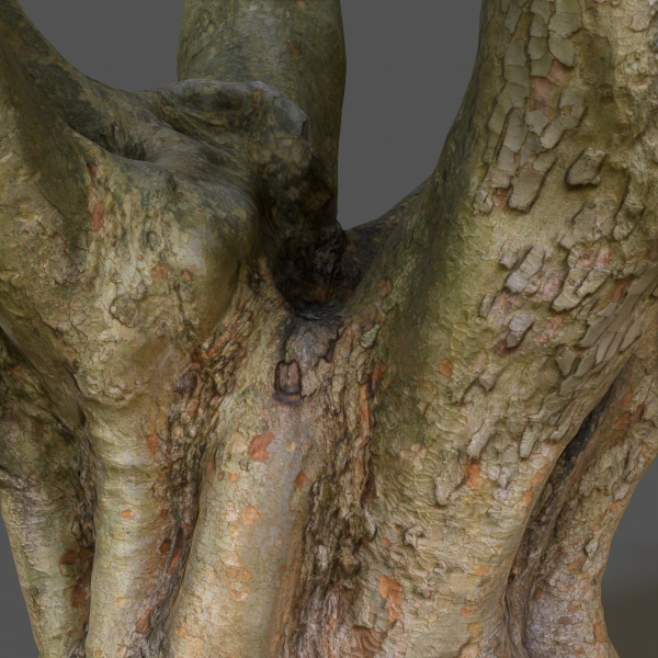 12 Tree collection Vol 2