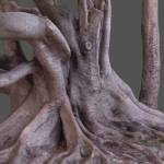 12 Tree collection Vol 2