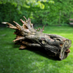 12 Tree collection Vol 2