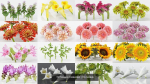 15 Flowers Collection