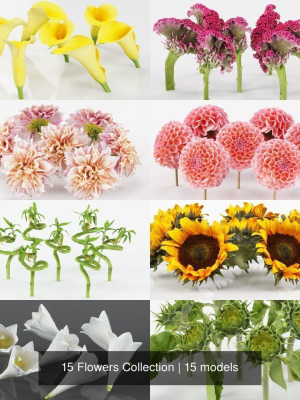 15-flowers-collection-3d-model-obj-mtl-fbx