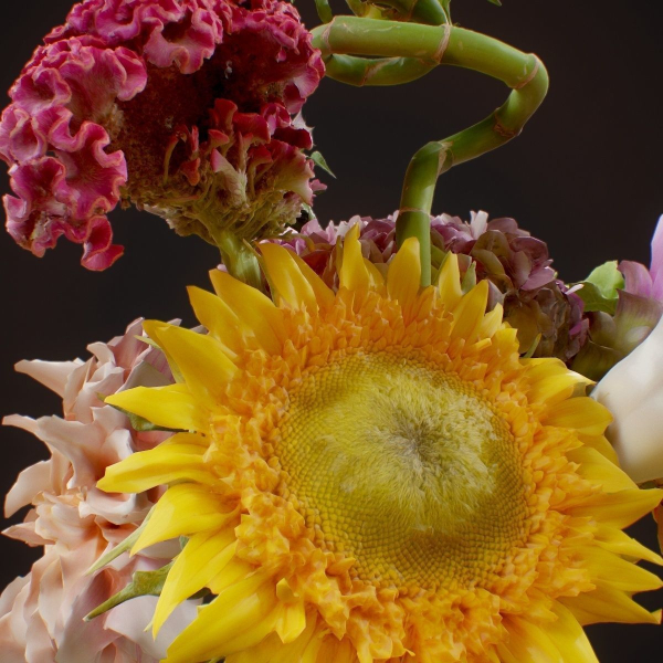 15 Flowers Collection