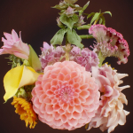 15 Flowers Collection