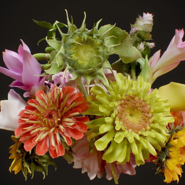 15 Flowers Collection