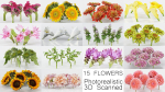 15 Flowers Collection