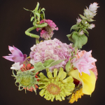 15 Flowers Collection