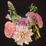 15 Flowers Collection