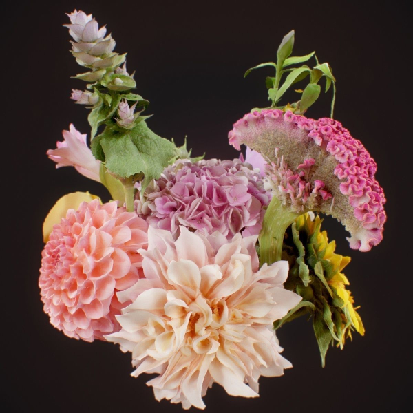 15 Flowers Collection