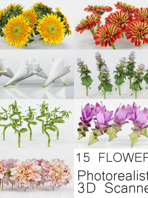 15 Flowers Collection