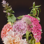 15 Flowers Collection