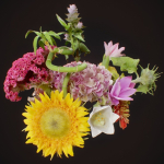 15 Flowers Collection