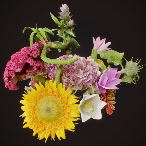 15 Flowers Collection