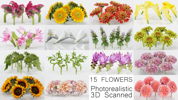 15 Flowers Collection