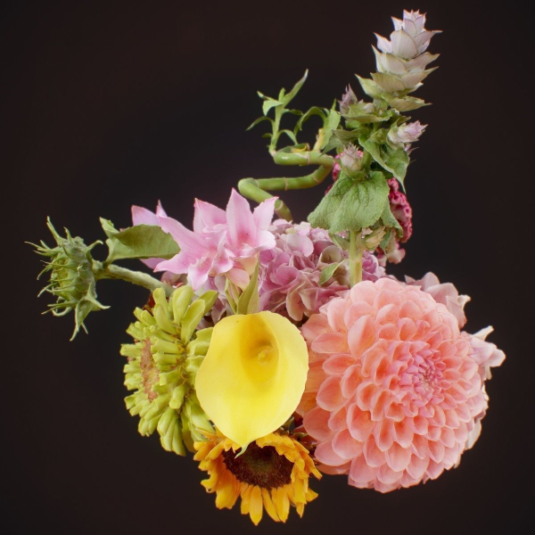 15 Flowers Collection