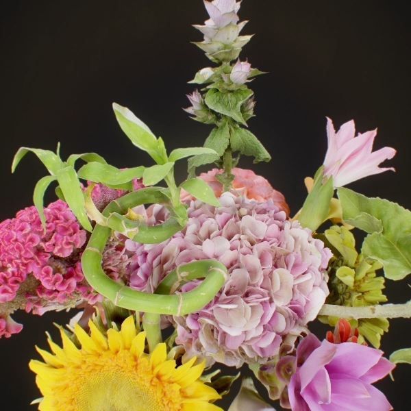 15 Flowers Collection