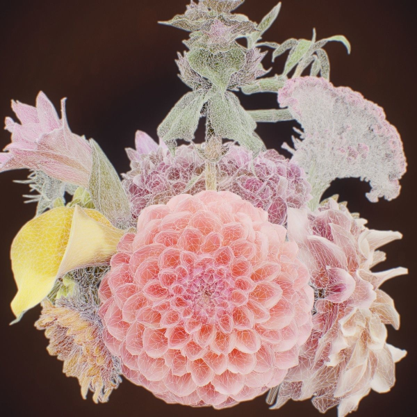 15 Flowers Collection