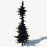 15 Pine Tree Lowpoly Models For Games