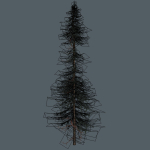 15 Pine Tree Lowpoly Models For Games