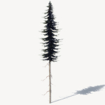 15 Pine Tree Lowpoly Models For Games