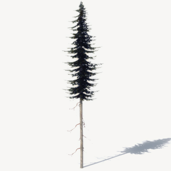 15 Pine Tree Lowpoly Models For Games