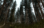 15 Pine Tree Lowpoly Models For Games