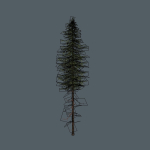 15 Pine Tree Lowpoly Models For Games