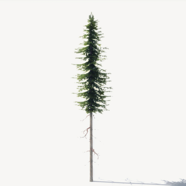 15 Pine Tree Lowpoly Models For Games