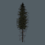 15 Pine Tree Lowpoly Models For Games