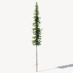 15 Pine Tree Lowpoly Models For Games