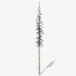 15 Pine Tree Lowpoly Models For Games