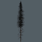 15 Pine Tree Lowpoly Models For Games