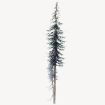 15 Pine Tree Lowpoly Models For Games