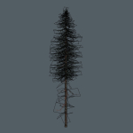 15 Pine Tree Lowpoly Models For Games