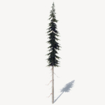 15 Pine Tree Lowpoly Models For Games