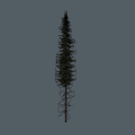 15 Pine Tree Lowpoly Models For Games