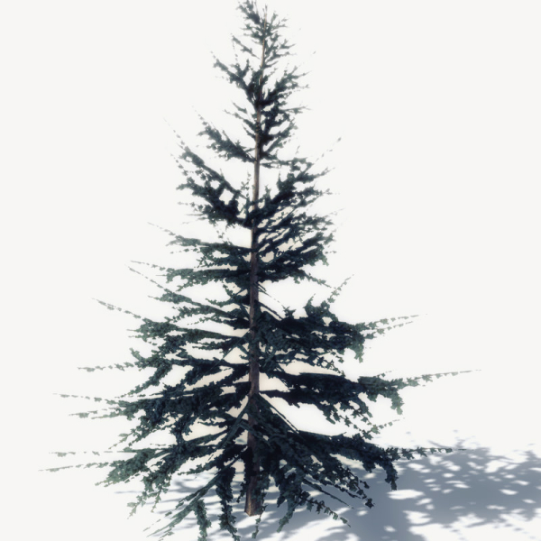 15 Pine Tree Lowpoly Models For Games