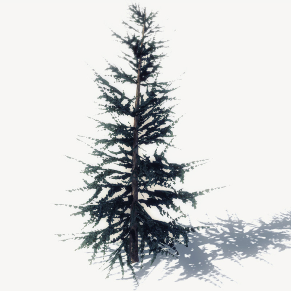 15 Pine Tree Lowpoly Models For Games