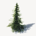 15 Pine Tree Lowpoly Models For Games