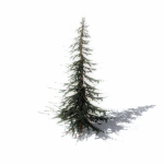 15 Pine Tree Lowpoly Models For Games
