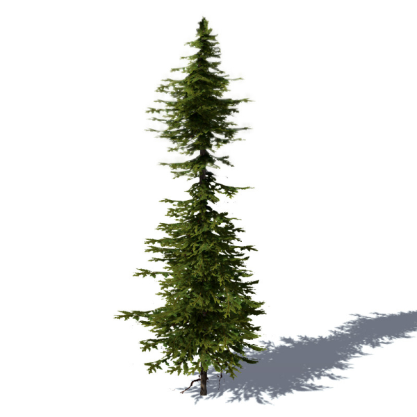 15 Pine Tree Lowpoly Models For Games