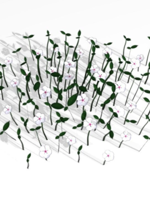 18-ultra-low-poly-flowers-and-plants-3d-model-low-poly-obj-fbx-ma-mb-blend