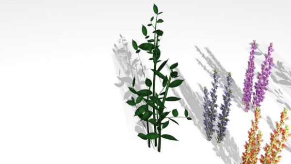 18 Ultra Low poly flowers and plants