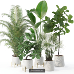 20 Photorealistic Flowers for Interiors - set 120 121 129 130