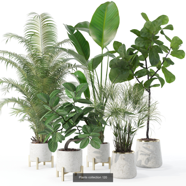 20 Photorealistic Flowers for Interiors - set 120 121 129 130